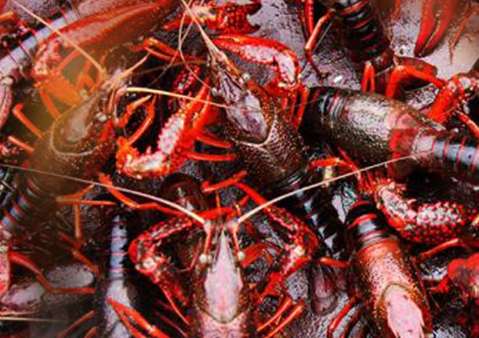 ����С���r�؜����ԭ��