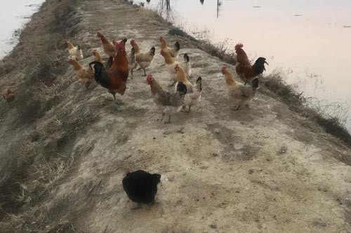 �r�����u�����ܣ����y�Bֳ�c�F���������ں�