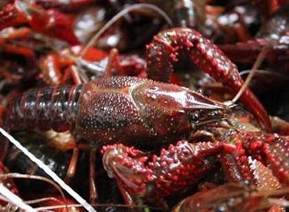 ���r�ĺ�̎�c��̎