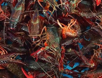 С���r�Bֳ���g(sh��)ȫ����