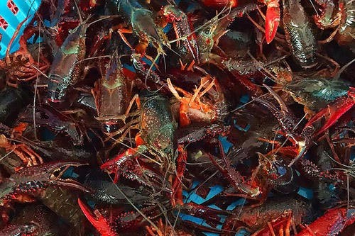 С���r��������ʵ�������Щԭ����ɵ�