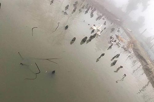 �����Bֳ�h(hu��n)��֮��