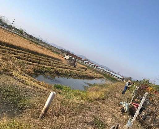 ˮ���Nֲ�Ļ���Ҫ�c(di��n)��֪�R