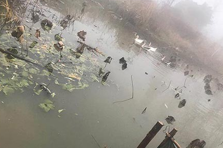 δ��(l��i)�������Z�I(y��)������(zh��)�@�ׂ�(g��)����l(f��)չ