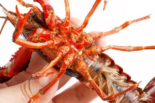 С���r����Ĵ����b�e����