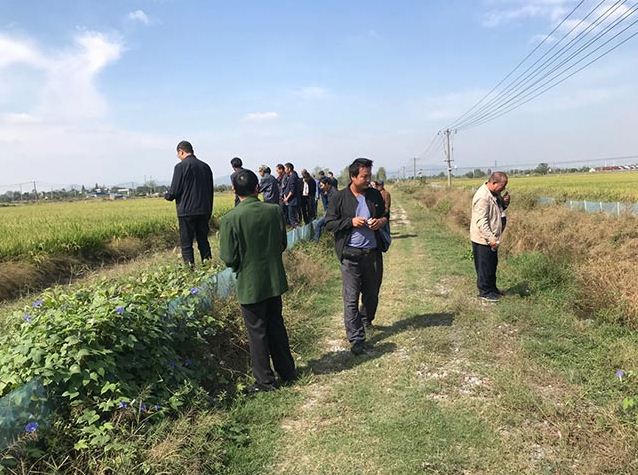 ˮ���Nֲ���ʩ��