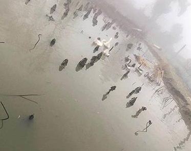 �����������ô�x��