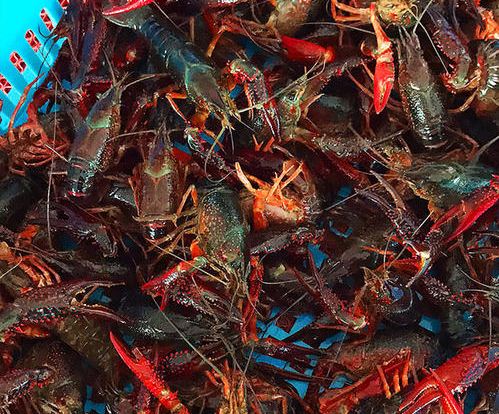 ���r��ļ��g(sh��)���Ј�(ch��ng)ǰ��