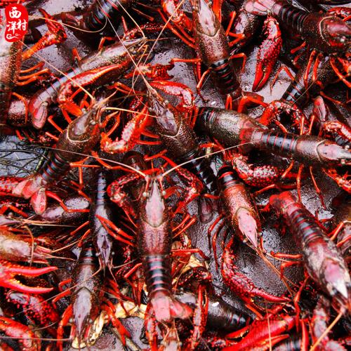 С���r�Bֳ��η�ֹ����