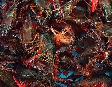 ���B(t��i)�r�I(y��)�ğo(w��)�޿��ܣ�С���r�cˮ���Ĺ���ģʽ