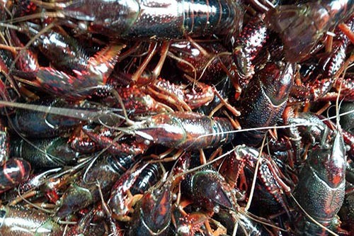 С���r�²���?�����ڵ�