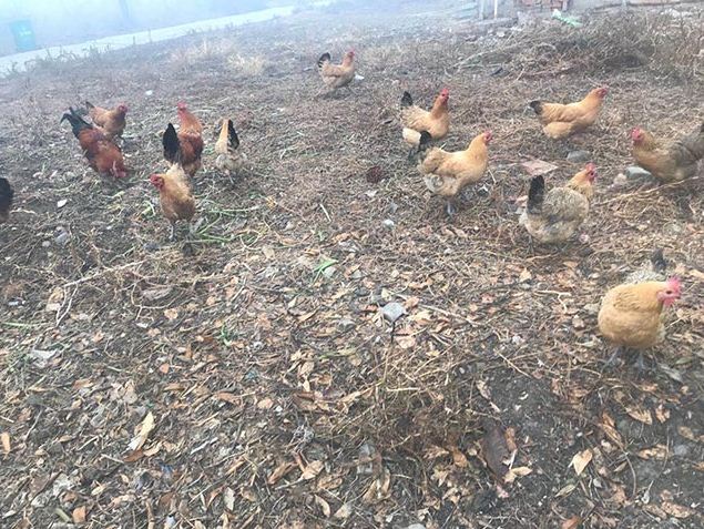 ���u�ĠI(y��ng)�B�r(ji��)ֵ