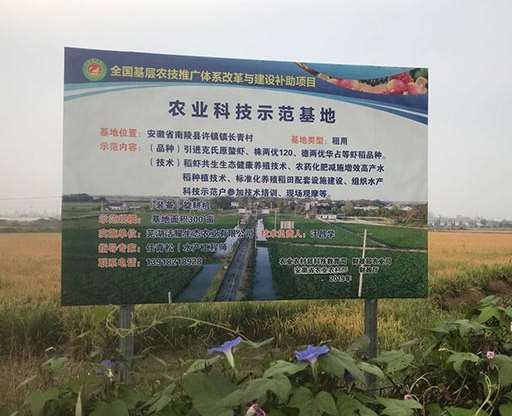 水稻種植對褐飛虱抗性的蛋白質(zhì)組學(xué)研究 水稻種植對褐飛虱抗性的蛋白質(zhì)組學(xué)研究