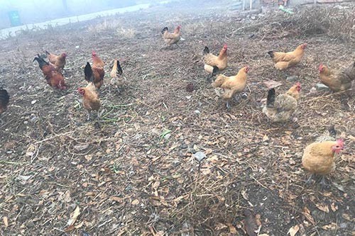 �������u���ʩ���{ˮ