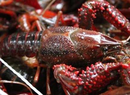 С���r���Bֳ�ɹ����P(gu��n)�I