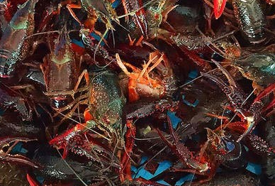 ���r�Bֳ���l(f��)��ע����Щ��(w��n)�}?