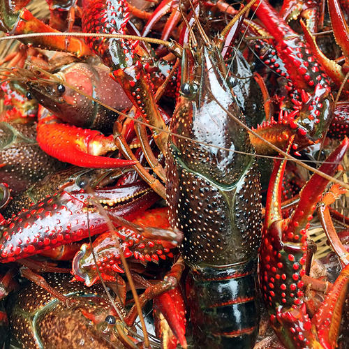 С���r���B�����ܳ��F�Ć�(w��n)�}