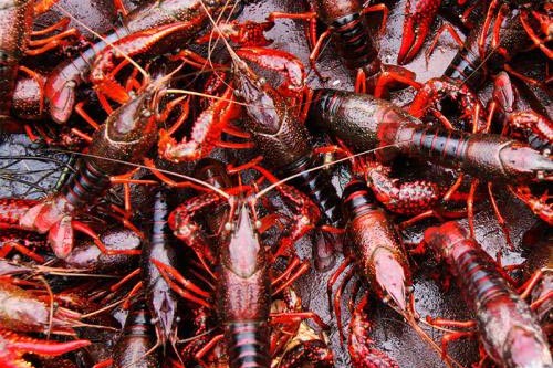 ԭ���B(t��i)С���r