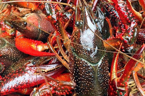 ԭ���B(t��i)С���r