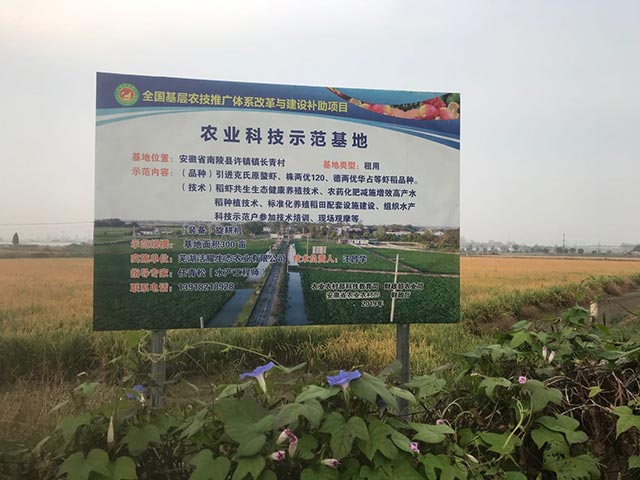 水稻種植 水稻種植